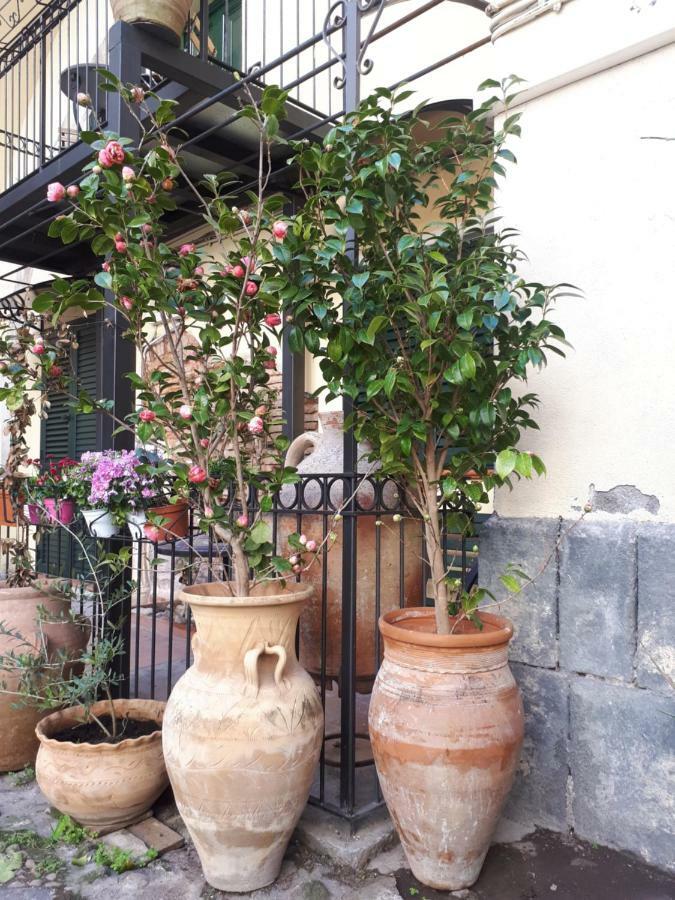 Mamarico' Apartament Catania Exterior photo